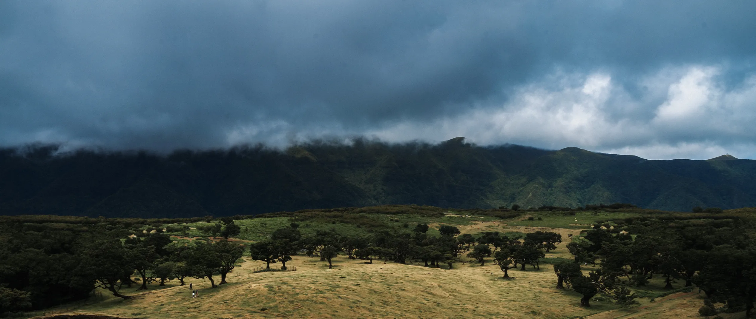 Madeira photo 3